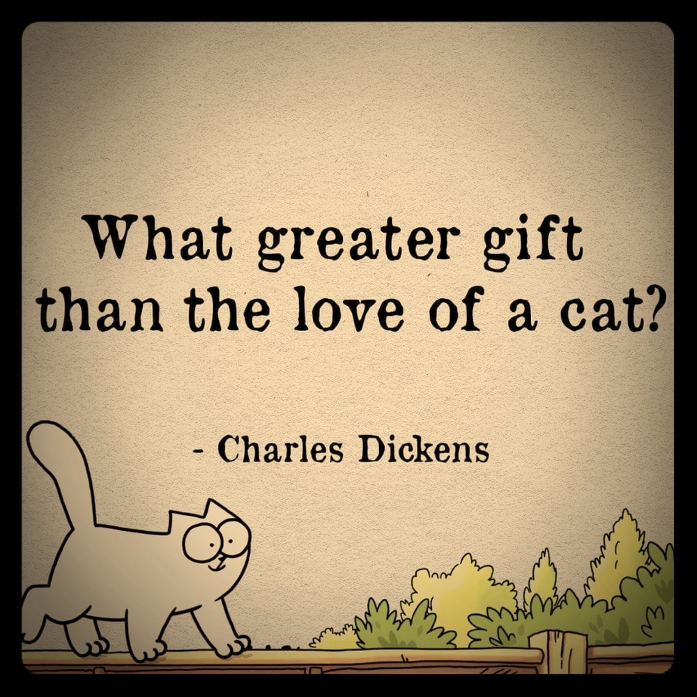 Meet your Posher, Catmam58